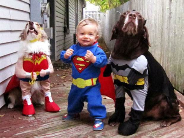 Baby and dogs dressed as superheroes 