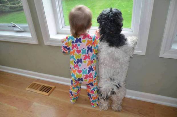 Baby and Animal looking out of window together