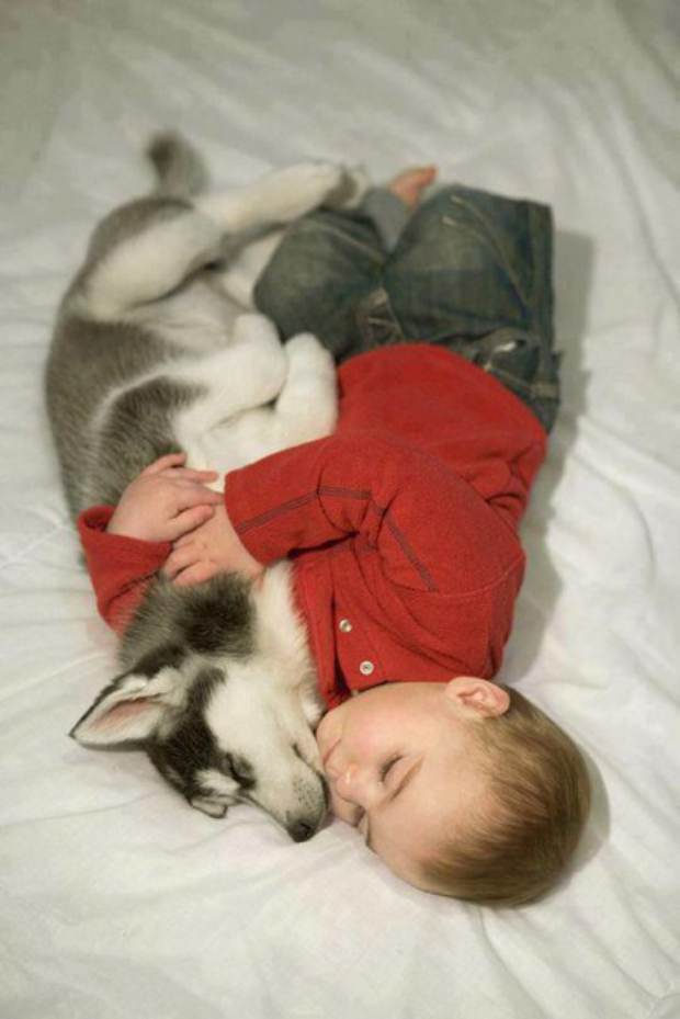 Husky and Baby Embrace